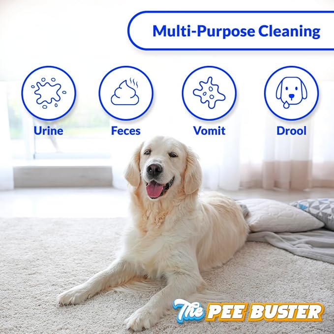 Generic Peebuster Pet Stain &amp; Odor Remover - Cleaning Spray for Dog and Cat Urine, 1 Count (Pack of 1)