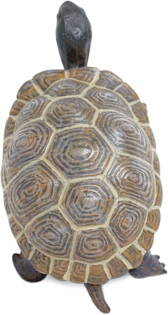 Safari Ltd. Tortoise Baby Figurine - Detailed 5.5" Plastic Model Figure - Fun Educational Play Toy for Boys, Girls &amp; Kids Ages 18M+
