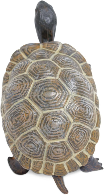 Safari Ltd. Tortoise Baby Figurine - Detailed 5.5" Plastic Model Figure - Fun Educational Play Toy for Boys, Girls &amp; Kids Ages 18M+