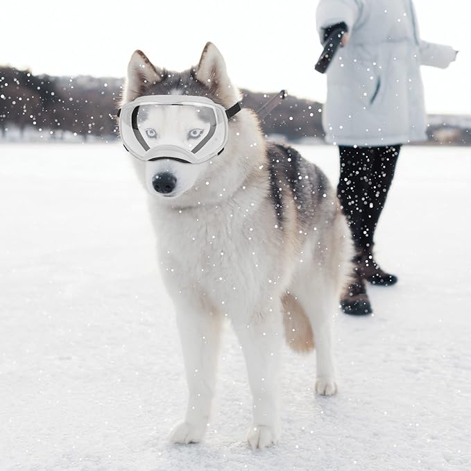 NAMSAN Clear Dog Goggles for Large Dogs, Wide Eyecup &amp; Soft Frame, Anti-UV Sunglasses for Dogs Medium to Large Breed, Driving Dog Eye Protection, Windproof Dustproof, Adjustable, White Frame