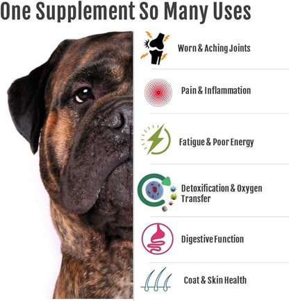 HAPPY BODY Pure MSM Joint Supplement for Dogs, Cats, &amp; Horses – 100% Additive-Free – High Performance, Supports Senior Pets Wellness, Healthy Joints, Mobility, Aches, &amp; Fatigue 7oz - 2 Packs