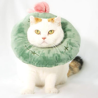 Adjustable Cat Recovery Collar Soft,Cute Pet E-Collar Neck Cone After Surgery Wound Healing Protective Cone Fit for Kitties, Small Dogs(ELC05-cactus-s)