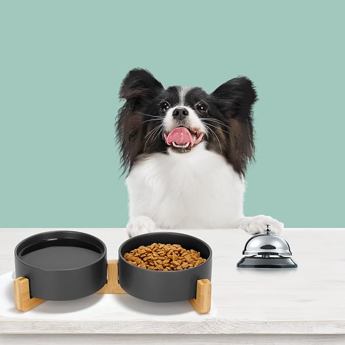 SPUNKYJUNKY Ceramic Dog and Cat Bowl Set with Wooden Stand, Modern Cute Weighted Food Water Set for Small Size Dogs (13.5OZ) &amp; Medium Sized Dogs (28.7OZ) &amp; Cats (1.7 Cups, 2 × Black)