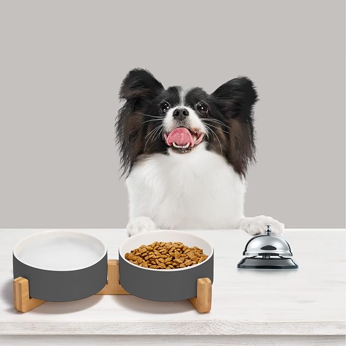 SPUNKYJUNKY Ceramic Dog and Cat Bowl Set with Wooden Stand, Modern Cute Weighted Food Water Set for Small Size Dogs (13.5OZ) &amp; Medium Sized Dogs (28.7OZ) &amp; Cats (1.7 Cups, 2 × White-Grey)