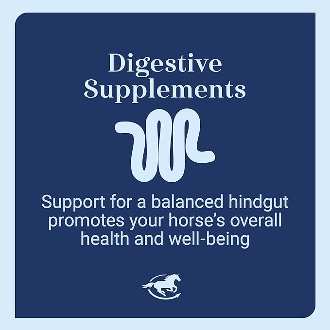 Senior Support SmartPak | Prebiotics and Probiotics | Turmeric Supplement | Flax Seed for Skin &amp; Coat Health | Antioxidant Support for Senior Horses | 28 Days Supply