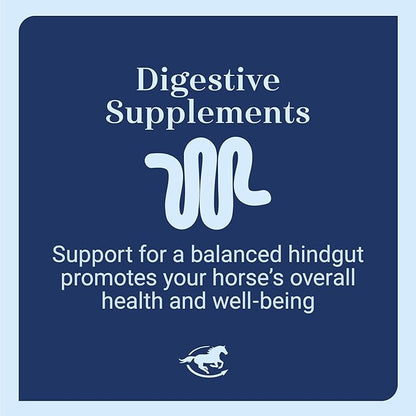 Senior Support SmartPak | Prebiotics and Probiotics | Turmeric Supplement | Flax Seed for Skin &amp; Coat Health | Antioxidant Support for Senior Horses | 28 Days Supply