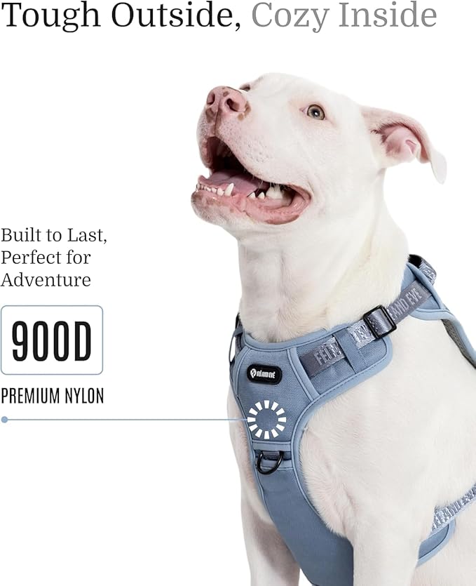 2025 New Edition, Fei &amp; Eve MagEase Dog Harness - 3-Second Magnetic Buckles | 3-Point No-Pull Control | Heavy-Duty 900D Nylon | Dual Safety Handles | Breathable Mesh | Adjustable Fit |Small, Blue
