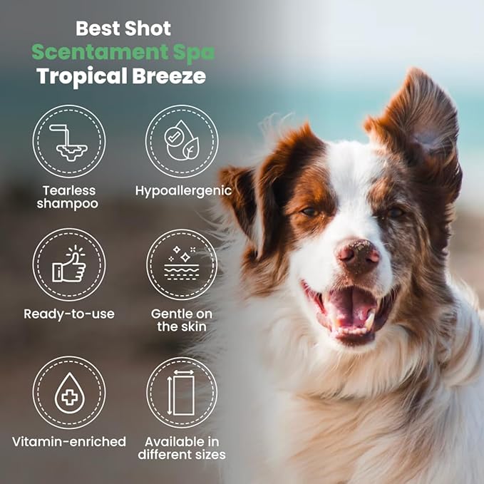 Best Shot Scentament Spa Tropical Breeze Seasonal Facial &amp; Body Wash, 1 Gallon