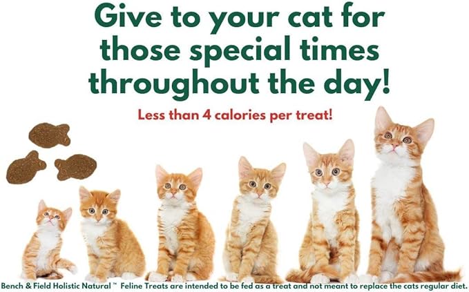 Bench &amp; Field Holistic Natural Healthy Kitty Cat Treats | Crunchy Fish-Shaped Bites | Delicious Seafood Flavored Snack, 3-Ounce (Pack of 6 Bottles)