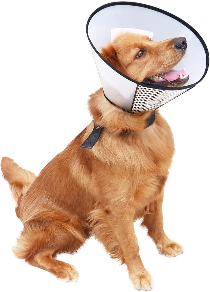 Plastic Pet Recovery Collars &amp; Cones for Dogs and Cats After Surgery Adjustable Dog Neck Cone Surgical Elizabeth E-Collar Prevent Biting and Stop Licking Wound (S)