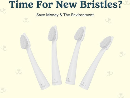 Jasper Microbrush Cat Toothbrush, Soft-Bristled Toothbrush Kit for Felines &amp; Small Dogs, Non-Slip Handle with 2 Replaceable Brush Heads, Use with Cat Toothpaste (Microbrush, Brush Heads Only)