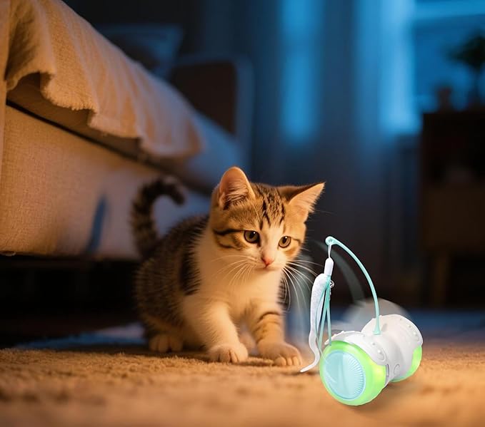 Remote Control Cat Toy with Auto Mode - Interactive Cat Toy Feather for Indoor, Moving Cats Catnip Toys &amp; LED to Keep Bored Cats Active &amp; Entertained