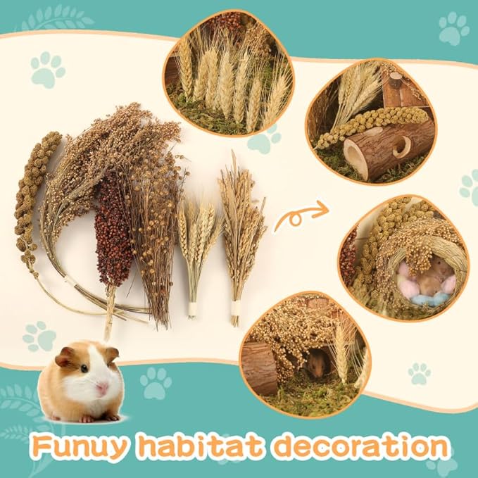 Hamster Spray Set - Natural Snack Grains &amp; Chew Toys for Cage Decoration Accessories, Soft Bedding for Dwarf Syrian Hamsters, Gerbils, Mice &amp; Small Pets