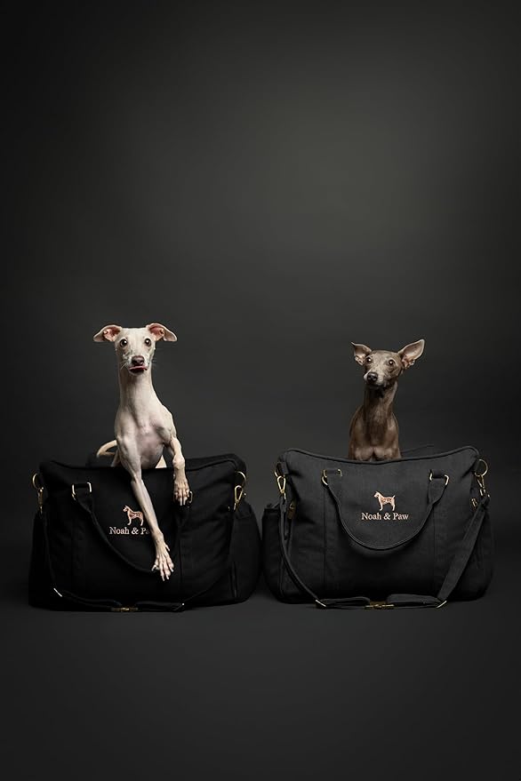 Noah &amp; Paw Dog Car Seat Carrier, Small Dog Car Seat for Small Medium Pets with Harness Clip, 4X Safety Feature, Booster Travel Bed, Waterproof Washable, Orthopedic Foam Filling, Canvas Collection