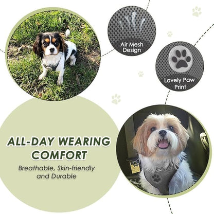 SlowTon Dog Seat Belt Harness for Car, Dog Car Harness Adjustable Mesh Breathable &amp; Dog Seatbelt Safety Tether with Elastic Bungee for Small Medium Large Pets(Grey, Double Clip, S)