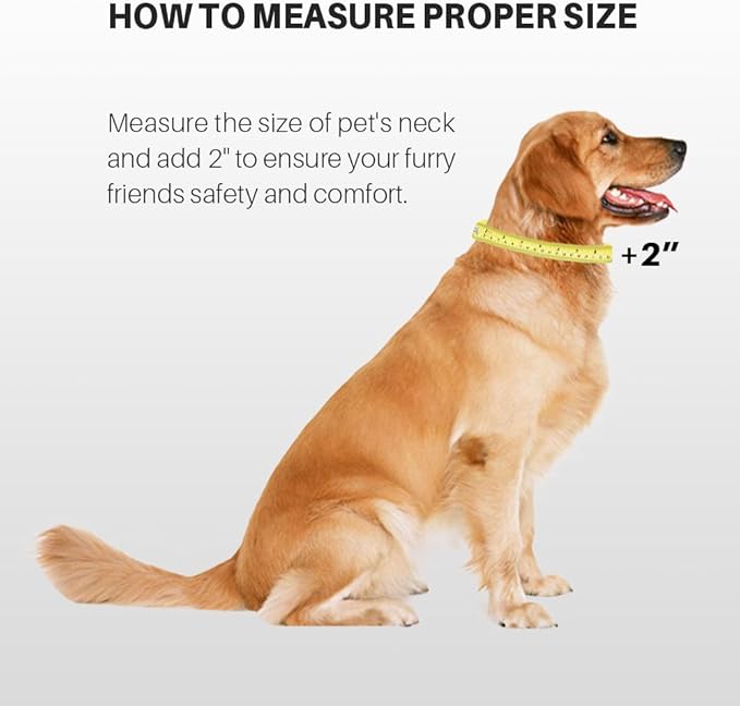 Hyhug Dog Collar for Large Dogs, Heavy Duty Red| Quick Release Nylon Buckle Collar, Adjustable &amp; Durable Pet Supplies for Boy &amp; Girl Dogs (Large, Red)