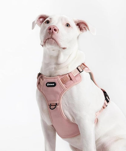 2025 New Edition, Fei &amp; Eve MagEase Dog Harness - 3-Second Magnetic Buckles | 3-Point No-Pull Control | Heavy-Duty 900D Nylon | Dual Safety Handles | Breathable Mesh | Adjustable Fit | X-Large, Pink