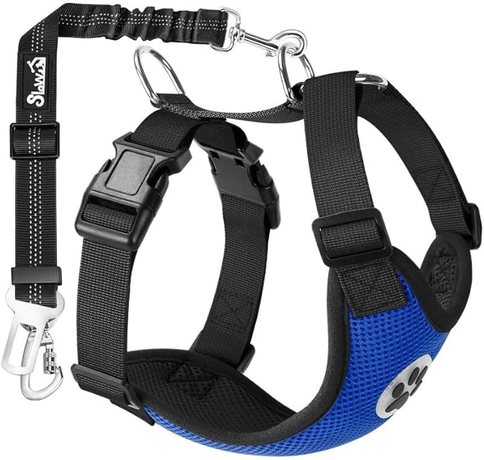 SlowTon Dog Seat Belt Harness for Car, Dog Car Harness Adjustable Mesh Breathable &amp; Dog Seatbelt Safety Tether with Elastic Bungee for Small Medium Large Pets(Blue, Double Clip, XXXS)