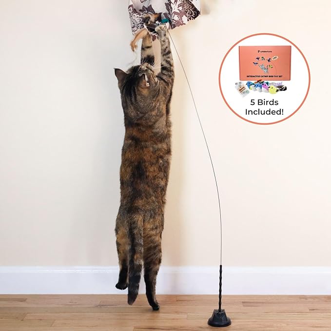 Interactive Catnip Bird Toy Set, Interactive Cat Toys for Indoor Cats, Cat Feather Toy, Self-Holding Suction Base, 5 Birds, Catnip Pouches, Feathers &amp; Bells, Realistic Bird Impression