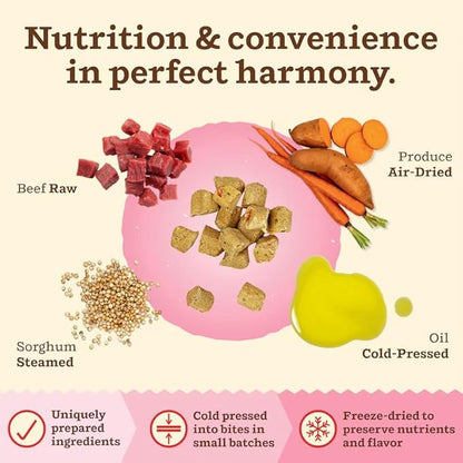 Primal Kibble in The Raw, Freeze Dried Cat Food, Beef, Scoop &amp; Serve, Made with Raw Protein, Whole Ingredient Nutrition, Crafted in The USA, Dry Cat Food, 64 Ounce (4 lb) Bag