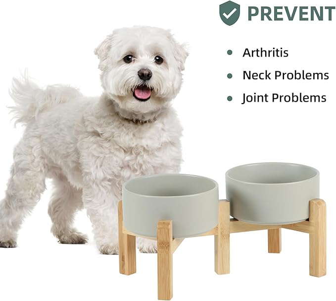 Ceramic Raised Double Bowls Set with Stand, 2 Heights Elevated, Food &amp; Water Bowls for Small Breed Dogs, Weighted Dog Dishes, Pet Bowl(6.1&