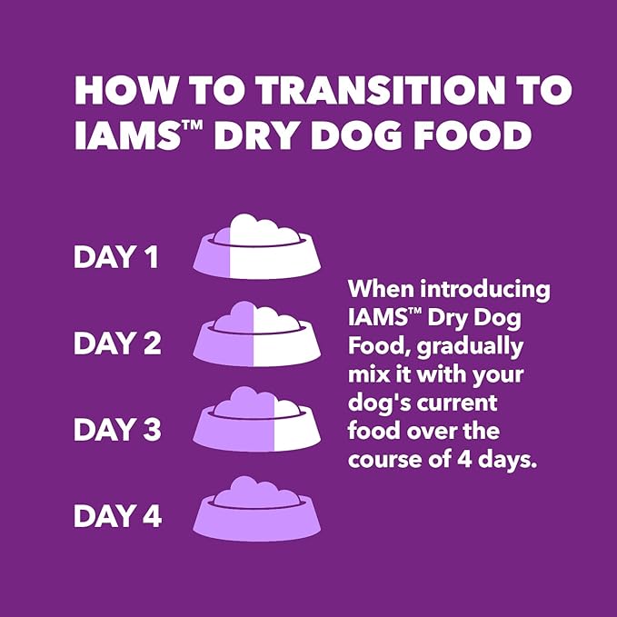 IAMS Advanced Health Skin &amp; Coat Adult Dry Dog Food Chicken and Salmon Recipe, 6 lb. Bag