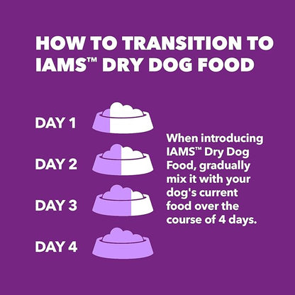 IAMS Advanced Health Skin &amp; Coat Adult Dry Dog Food Chicken and Salmon Recipe, 6 lb. Bag