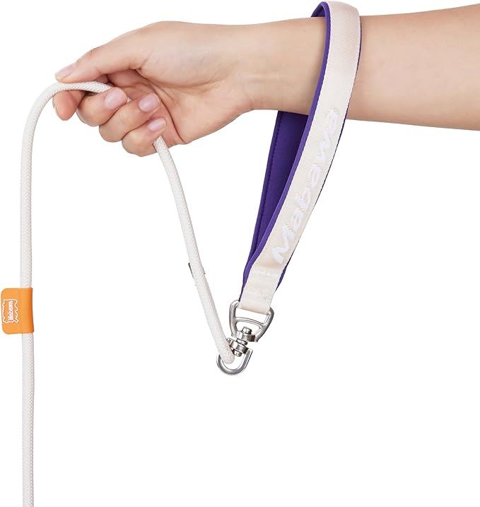 Dog Anti-Slip Leash 5FT with Metal Stopper - Durable No-Pull Training Lead for Small, Medium &amp; Large Dogs - Comfortable Handle Nylon Rope, Tangle-Free Pet Walking Leash (Beige, 5.6FT)