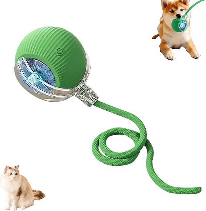 Interactive Cat Toy Ball for Indoor Cats - 3-Speed Smart Rolling Ball with Flashing Lights, USB Rechargeable Automatic Motion Kitten Toys for Bored Adult Cats &amp; Playful Kittens