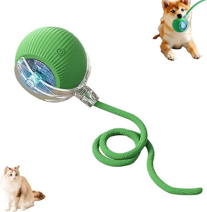 Interactive Cat Toy Ball for Indoor Cats - 3-Speed Smart Rolling Ball with Flashing Lights, USB Rechargeable Automatic Motion Kitten Toys for Bored Adult Cats &amp; Playful Kittens