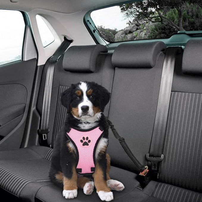 SlowTon Dog Seat Belt Harness for Car, Dog Car Harness Adjustable Mesh Breathable &amp; Dog Seatbelt Safety Tether with Elastic Bungee for Small Medium Large Pets(Pink, Single Clip, S)