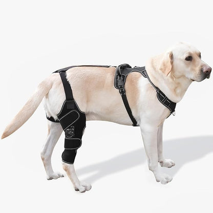 Dog Knee Brace with Adjustable Support – ACL &amp; CCL Tear Recovery, Post-Surgery Stabilization, Mobility Aid for Rear Legs – Includes Secure Chest Harness for Dogs(Right,L)