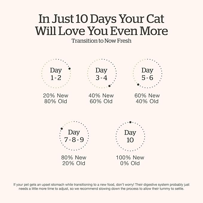 Now Fresh Grain-Free Dry Cat Food with Turkey, Salmon &amp; Duck, Healthy Kibble for Adults Made with Real Meat &amp; Fish, Chicken-Free, with Pumpkin &amp; Probiotics for Sensitive Stomachs, 8 lb Bag