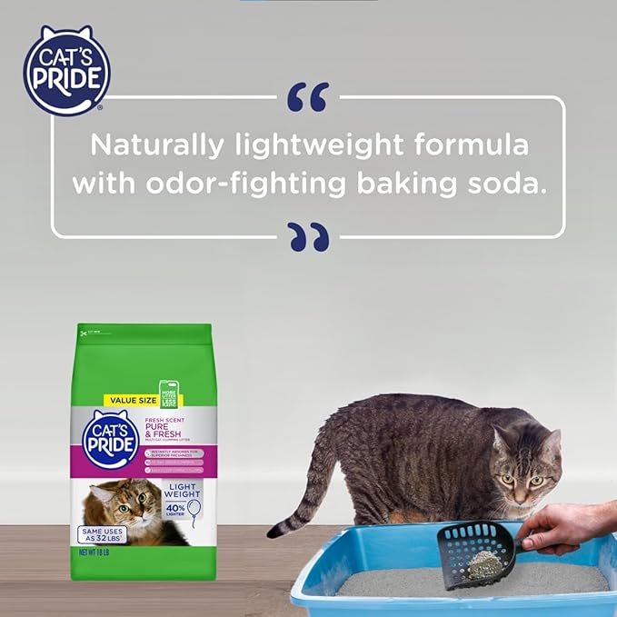 Cat&