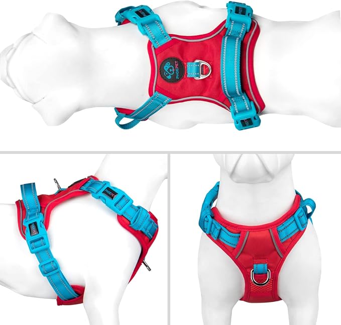 PHOEPET No Pull Dog Harness, Unique Colors Reflective Adjustable Dog Vest, with Soft Training Handle Metal Clips for Small Medium Large Dogs (Red Base &amp; Teal Straps,S)