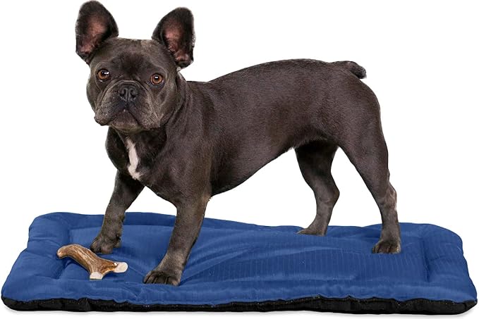 K9 Ballistics Tough Ripstop Dog Crate Pad - Durable &amp; Machine Washable with Non-Skid Bottom and 120-Day Warranty, Fits 24" Wire Crates - X-Small, Blue Quartz