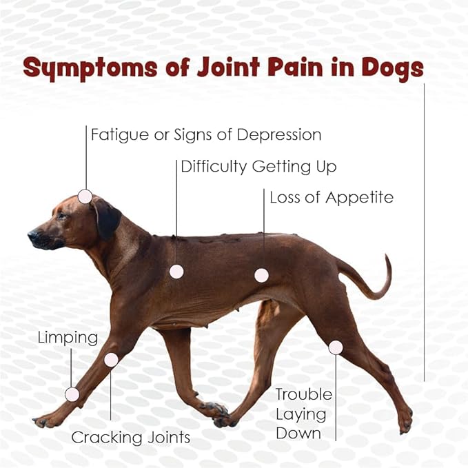 TS Joint Supplement Vet Formulated Pain &amp; Inflammation Relief Treats Hip Dysplasia &amp; Arthritis.Glucosamine, Chondroitin, Turmeric, MSM, HA, Creatine, Omega 3 EPA+DHA. All Dogs 240 Soft Chews