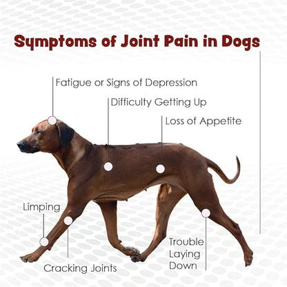 TS Joint Supplement Vet Formulated Pain &amp; Inflammation Relief Treats Hip Dysplasia &amp; Arthritis.Glucosamine, Chondroitin, Turmeric, MSM, HA, Creatine, Omega 3 EPA+DHA. All Dogs 240 Soft Chews