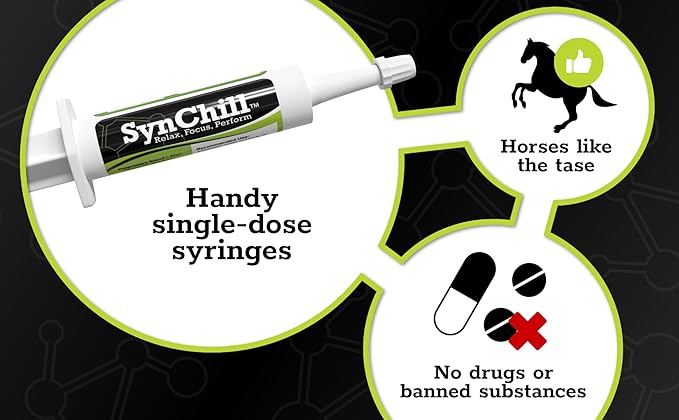 SynChill Oral Horse Calming Gel, 100% Natural &amp; Nutritional Supplement, Lab Proven Results, Designed for Focus &amp; Performance, Approved by Olympic Professionals &amp; Veterinarians, Made in USA - 25-Pack