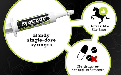 SynChill Oral Horse Calming Gel, 100% Natural &amp; Nutritional Supplement, Lab Proven Results, Designed for Focus &amp; Performance, Approved by Olympic Professionals &amp; Veterinarians, Made in USA - 3-Pack