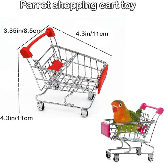 6pcs Interactive Puzzle Toy Set for Small Parrots - Training, Stress Relief, Include Coin Box, Bell Ball, Skateboard &amp; Ferrule Toy for Bird Budgies, Cockatiels, Parakeet etc