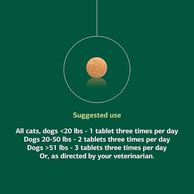Standard Process Inc. VF Thymex for Pets - Cat &amp; Dog Immune System Support Supplement - Thymus Supplement to Aid Canine &amp; Feline Immune Health - Supplement with Vitamin C - 90 Tablets