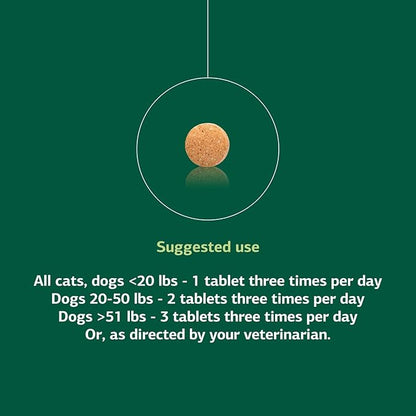 Standard Process Inc. VF Thymex for Pets - Cat &amp; Dog Immune System Support Supplement - Thymus Supplement to Aid Canine &amp; Feline Immune Health - Supplement with Vitamin C - 90 Tablets