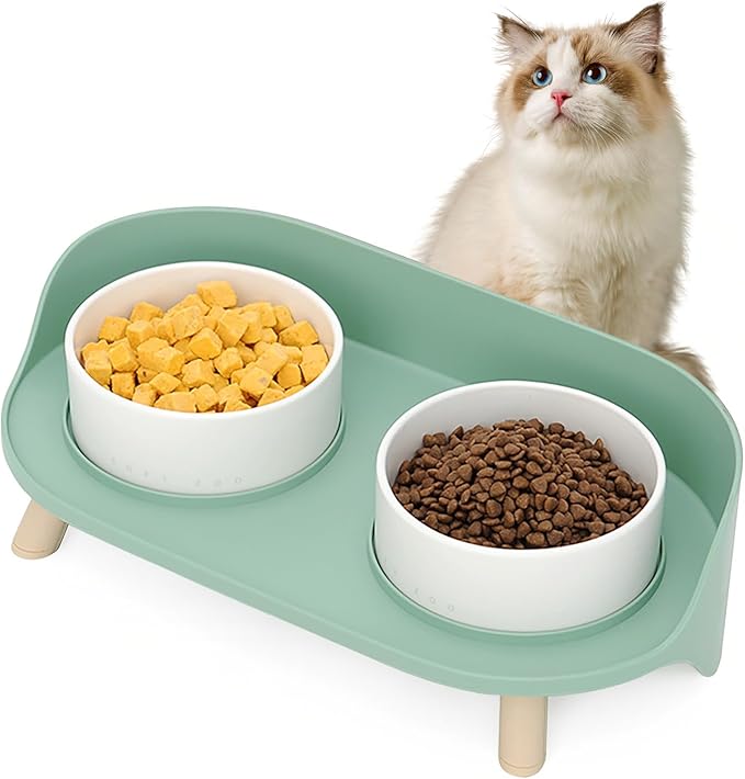 Elevated Dog Bowls Set, Ceramic Pet Food &amp; Water Bowls with Non-Slip Stand, No Spill Design for Cats/Small Medium Dogs Green
