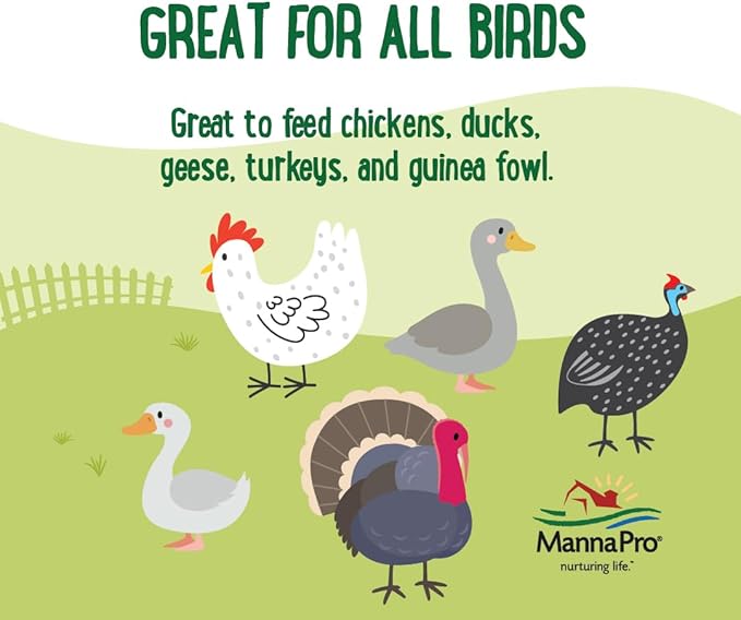 Manna Pro Farmhouse Favorites Beetle Bliss Poultry Treat – Blend of Mealworms and Beetles – All Natural Treat for Chickens, Ducks, Geese, Turkeys, &amp; Guinea Fowl – 45% Protein – 2lb Bag
