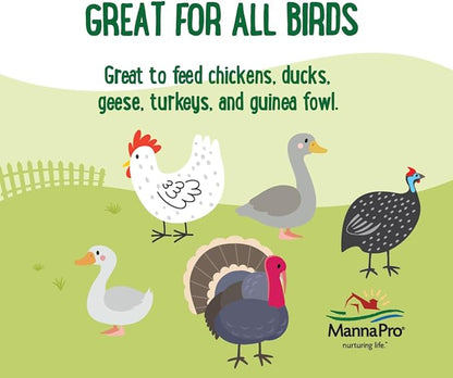 Manna Pro Farmhouse Favorites Quirky Quatro Crunch – 100% Natural Protein Treat for Mixed Flocks – Blend of Black Solider Fly Larvae, Mealworms, Beetles &amp; Shrimp – 2lb