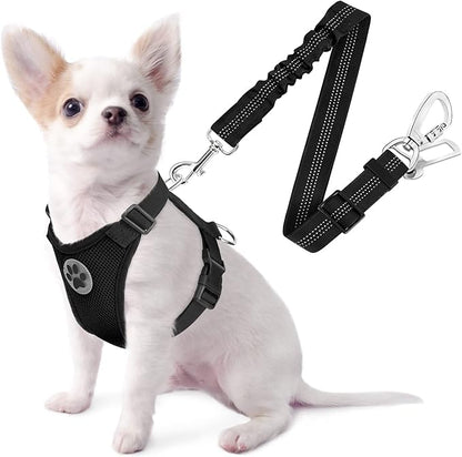 SlowTon Dog Seat Belt Harness for Car, Dog Car Harness Adjustable Mesh Breathable &amp; Dog Seatbelt Safety Tether with Elastic Bungee for Small Medium Large Pets(Black, Double Clip, XXS)
