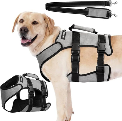 Ayquez Dog Lift Harness with Storage and Transport Bag, Dog Harness with Handle for Lifting &amp; Hip dysplasia, arnés para Perros pequeños, pechera para Perros (Gray, M)