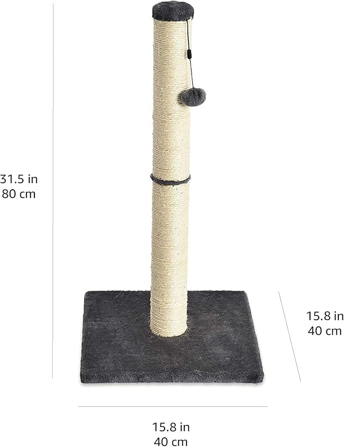 Amazon Basics Cat Scratcher - Indoor Classic Single Cat &amp; Kittens Scratching Post, Medium (31.5"H) - Grey