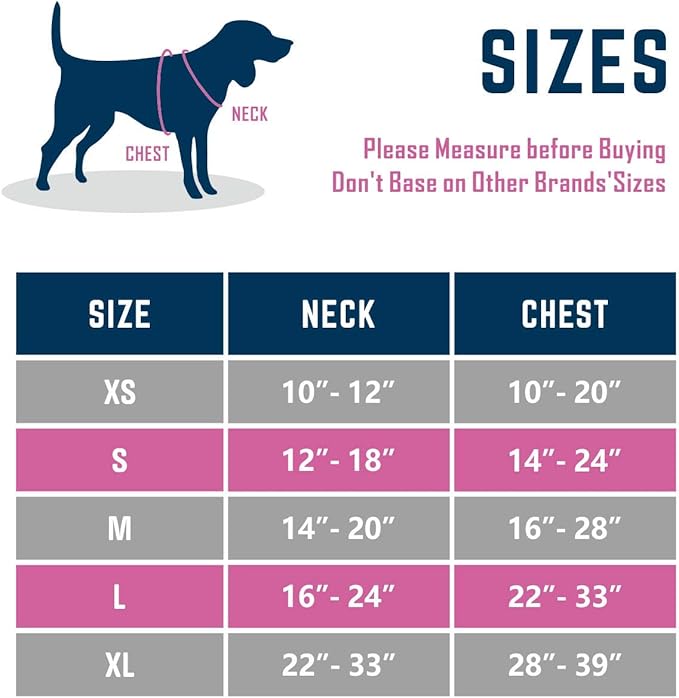 PHOEPET 2019 No Pull Dog Harness Medium Reflective Front Clip Vest with Handle,Adjustable 2 Metal Rings 3 Buckles,[Easy to Put on &amp; Take Off](M, Purple)